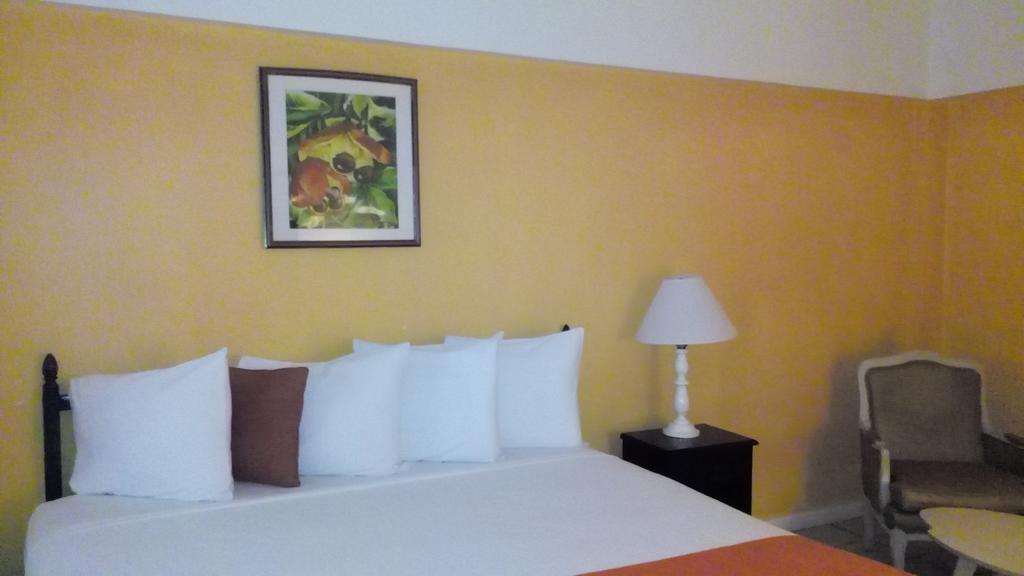 Pineapple Court Hotel Ότσο Ρίος Εξωτερικό φωτογραφία